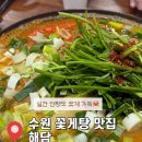 해담 | [수원/인계동] 해담 / 솔직후기 / 시원한 꽃게탕 맛집 해물요리 전문점