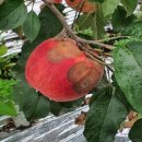 울산광역시농업기술센터 이미지