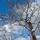 담양관광정보센터 이미지