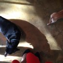 별빛동물병원 이미지