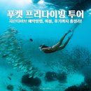 프리랑 | 푸켓 시즌다이브 프리다이빙 투어 후기 및 비용