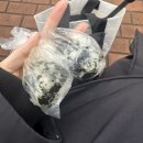 몰라 PC방 | 인생이 뜻대로 안되면 일단 락을 해야함 그럼 모든게 일단락 되니까ㅣ터치드 콘서트 HIGHLIGHT IV 후기