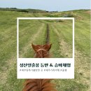 성산구 ⓒ-2 | 제주동쪽 가볼만한 곳 성산일출봉 정상등반 분화구 모습 &amp; 승마체험 후기: 말 위에서 본 제주