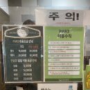 미래골프클럽 | 싱그린 골프클럽 파3 후기｜초보도 가기 좋은 서울 근교 가성비 숏게임 연습장 솔직 리뷰 (feat. 벚꽃)