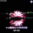 (축제) 부여 서동 연꽃축제 이미지