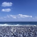 나사항2 이미지