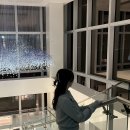 수영로 554번길 이미지