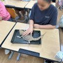 계동초등학교 이미지