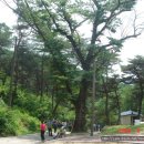 보가산성지 이미지