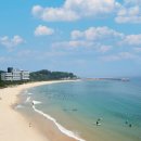 브리드 바이 마티에 이미지