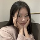 홍영기 | [내돈내산] 오렌즈x홍영기 시미렌즈 넛티브라운 후기 (착용감, 실착)