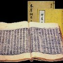 콩이야기 이미지