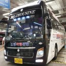 15노블드림