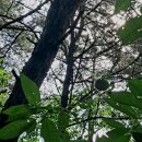 승진당구장 이미지