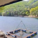 명암낚시터 이미지