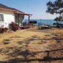 언덕위에 이미지