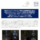 스카이라이팅 - 고양시 덕양구 향동로 217 | 스카이라이팅