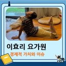 남태령전원마을입구 앞 횡단보도 | 이효리 요가원 후기 그리고 경제적 가치는? (광고 수익 및 출연료). 이효리 원장님의 쿨한 매력과 나무...