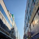 금성고등학교 | 길을 걷다