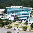 안흥초 사거리 뉴시스