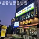 글로벌꿀벌동물병원 이미지