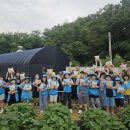 포리초등학교 이미지