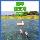 금호소공원 공중화장실(2) | 제주도 9월 가볼만한곳 스노클링, 다이빙, 바다수영 가능한 태웃개 강아지 동반