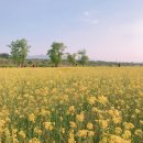 나드리 김밥천국(대봉점) | 랄라일상 : 5월연휴의 대구 이곳저곳. 날씨 최고!