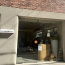 라벤더코지 | [리틀앤머치] 강남구청/선정릉 | 코지하고 분위기의 카페, 라벤더 라떼 후기!