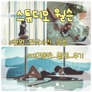 애견매니저 | 스튜디오 윌슨 창원 만삭사진 특별한 컨셉 애견동반 촬영 후기