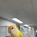 한스안경이야기 이미지