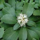 열창노래방 이미지