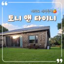Maple Lodge | 제주동쪽 조용한 감성 애견독채숙소, 360도 잔디밭에서 뛰뛰가능한 힐링숙소 토니 앤 타이니