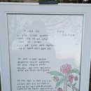 행복드림종합사회복지관 | 광산구 행복드림종합사회복지관의 가을축제에서 참으로 깊은 감동을 받았습니다.