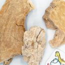 하늘한방소아과한방재활의학과한의원 이미지