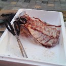 유정상사 이미지