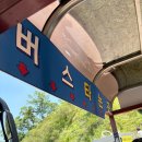 팔경가든 | [충북단양]- 만천하스카이워크/알파인코스터/패러글라이딩/패러명가/팔경가든/닭볶음탕 맛집