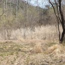 이순신장군 백의종군로 이미지