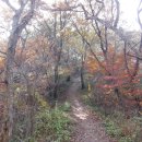 [광주 광산구]광주여대~동자봉(154m)~풍악정~어등산 석봉(338m)~풍악정~산정제~광주여대 회귀하기(2016/11/11/금 오후) 이미지