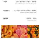 화이트 버블 | 추천/시향기] 마인드오버바디(MIND OVER BODY) 핑크버블클럽 구버전 &amp; 신버전 시향 후기 (+ 화이트 스프링)