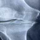 노원백정형외과의원 이미지