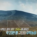 무학농장 네이버블로그
