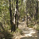 군포-산본-2013 이미지