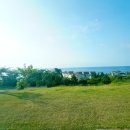 (주)대아울릉리조트 이미지