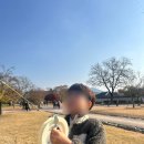 용현자연휴양림 | 서산 해미읍성 연날리기 체험, 용현자연휴양림 후기