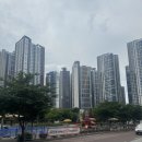 주정차단속-053 이미지