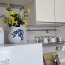 바다소풍 이미지