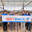 내곡bhc 아이뉴스24