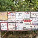 (초급)정겨운 우리 그림, 민화 | [경기/용인] 한국민속촌 귀신전 체험 후기 👻 아이랑 주말 가족나들이 코스로 딱!