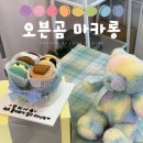 소답동124 | [창원/서상동]오븐곰 마카롱